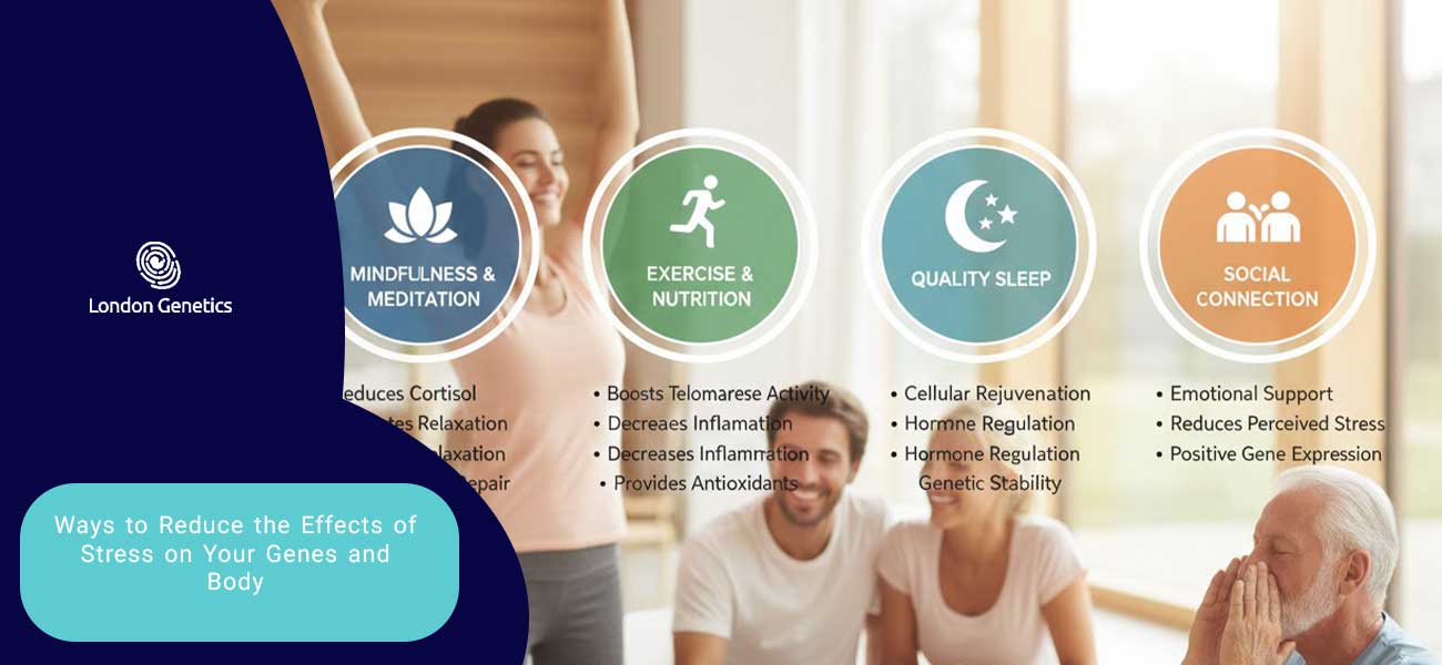 Ways to Reduce the Effects of Stress on Your Genes and Body